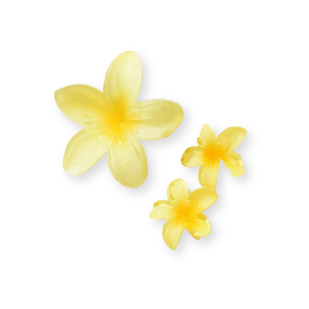 Pinces à cheveux fleurs d’été – Lot de 3 pinces hawaïennes tendance Noir - Chic & Coquette