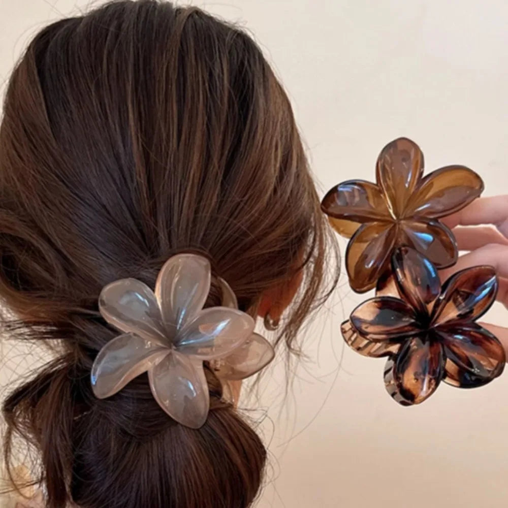 Pince à cheveux fleurs transparentes tons automne Noir - Chic & Coquette